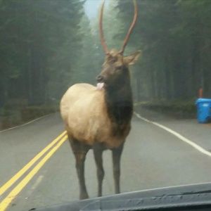 Meet your Posher, Tim